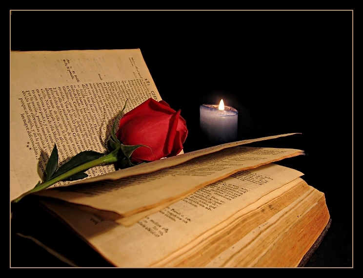 Rosa y libro