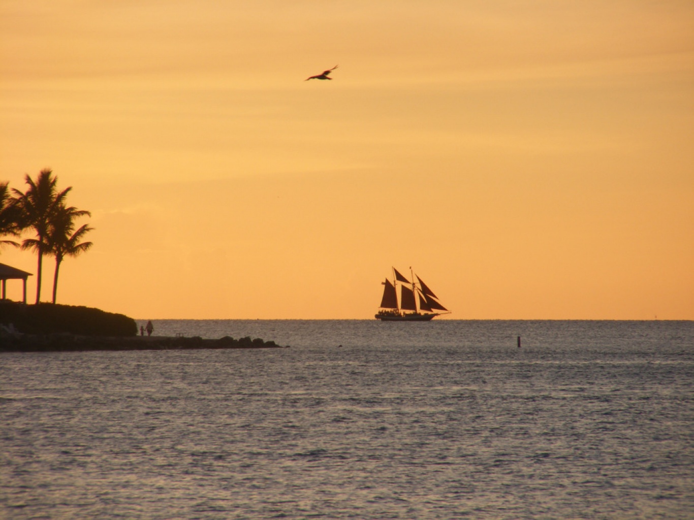 Barco_en_el_Horizonte-547765