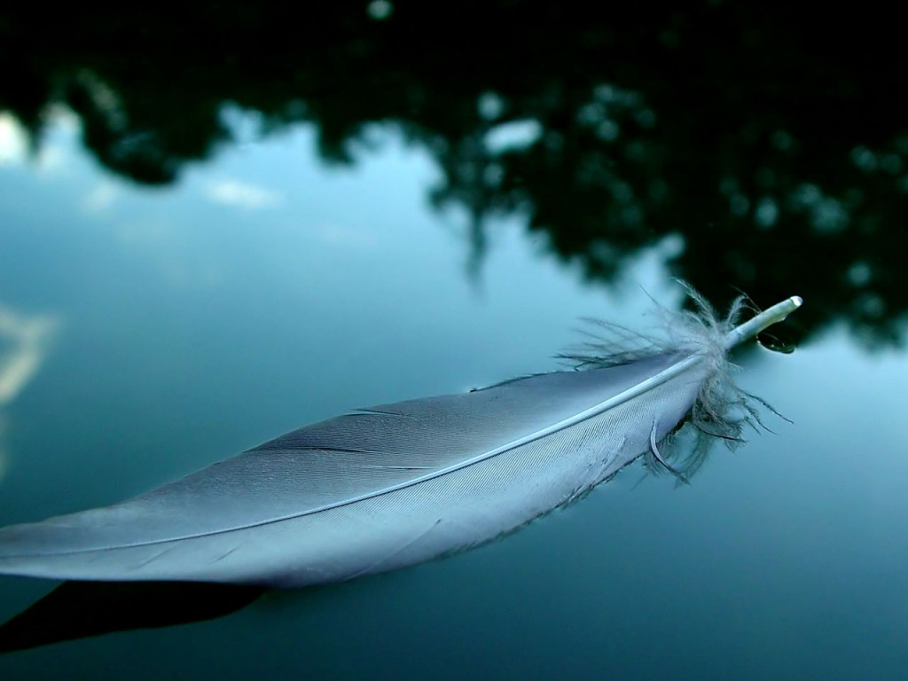 Pluma sobre el agua