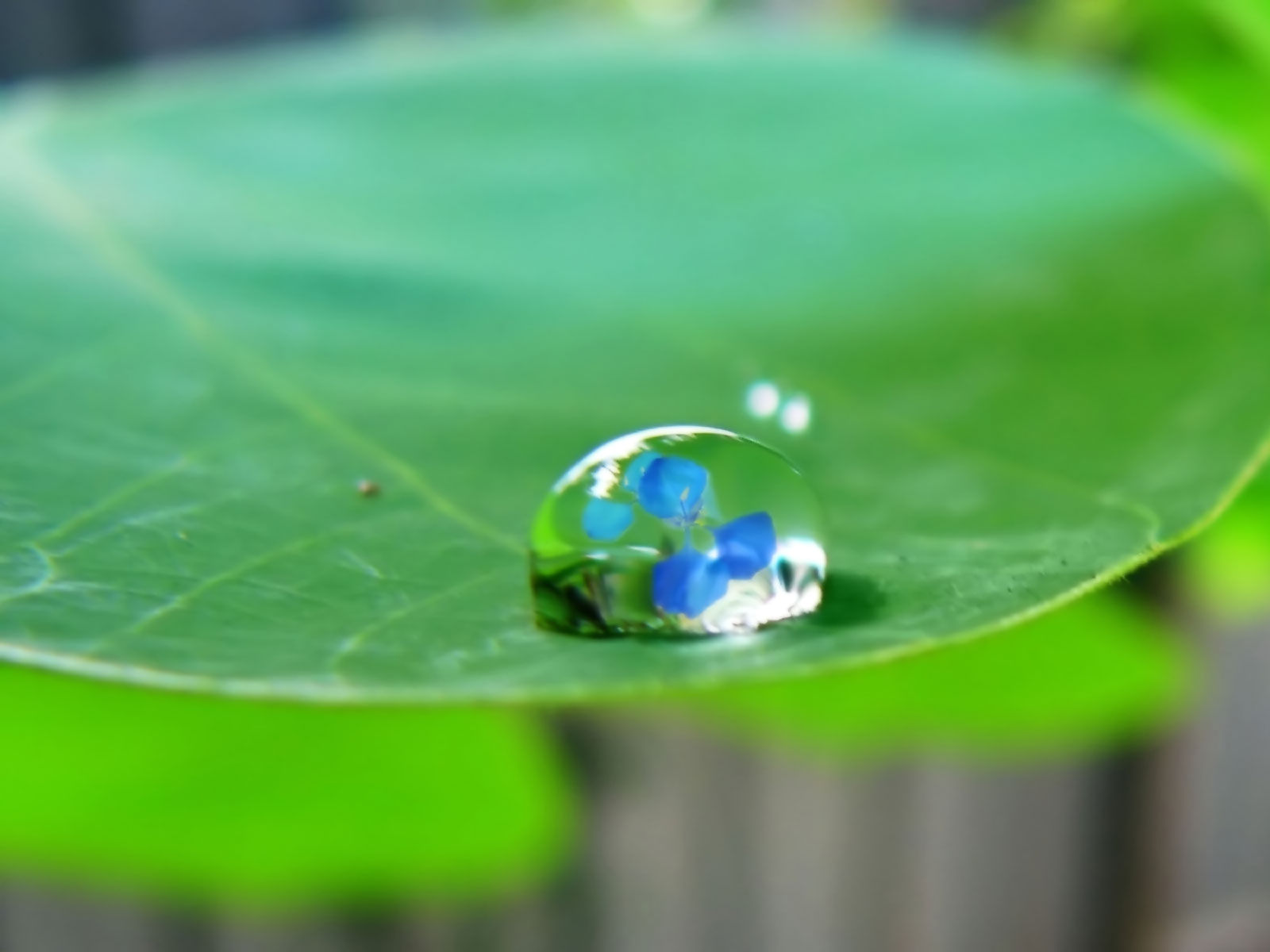 Sencillez. Gota de agua