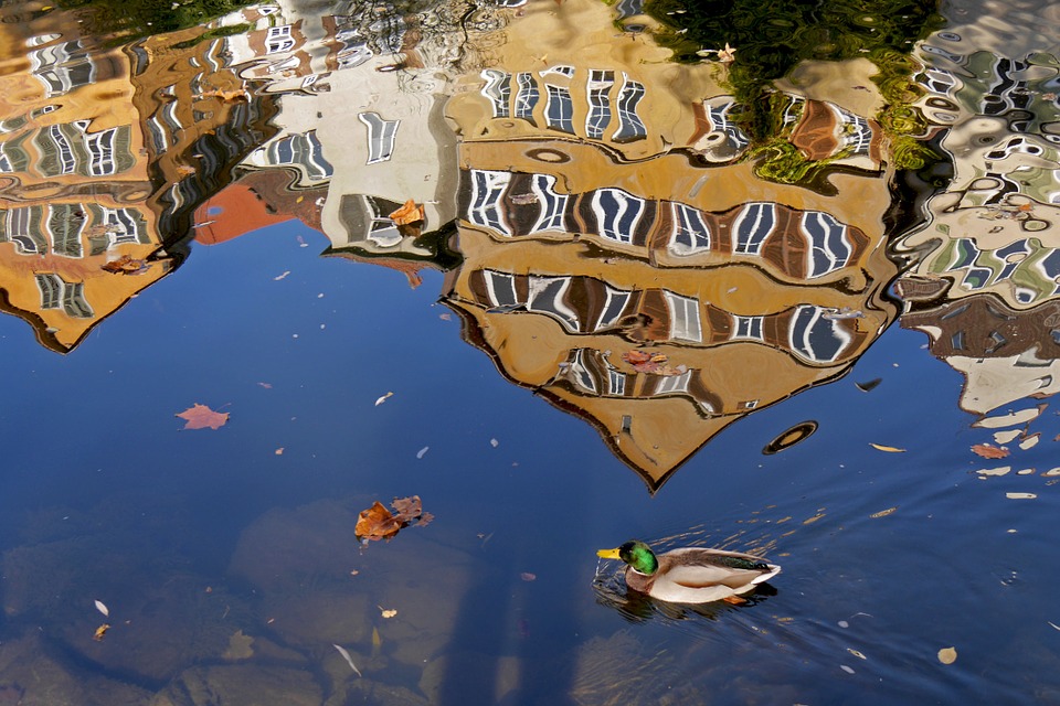 Reflejo en el agua